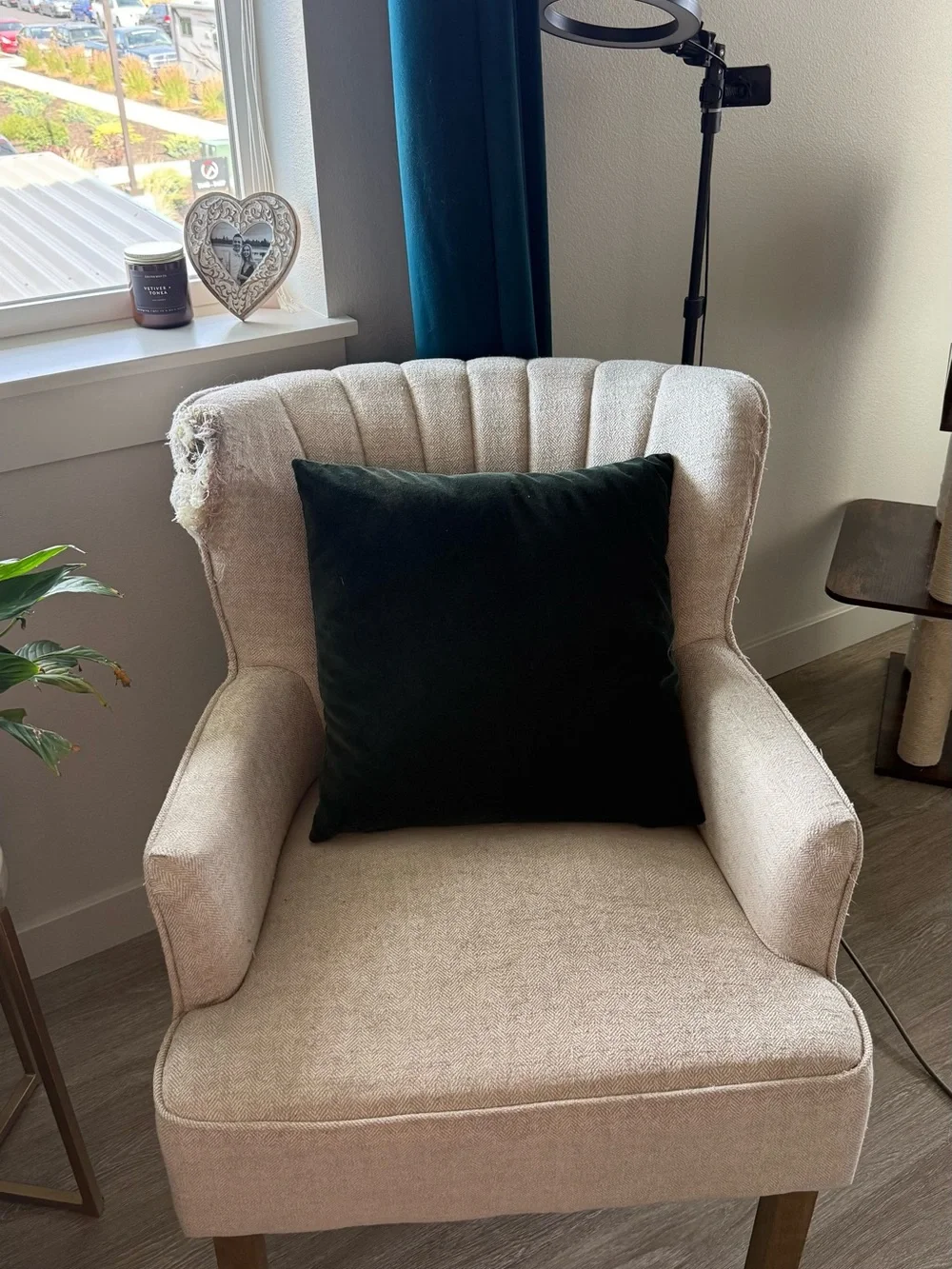 Cost Plus World Market bring cozy